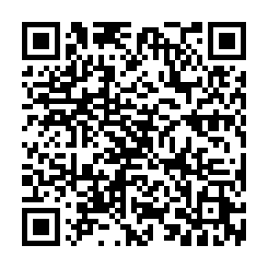 Needle Stealer malware Code QR