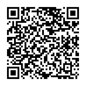 Le virus Net Code QR