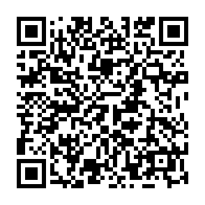 NimDoor voleur Code QR