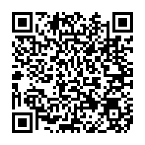 Nobody virus Code QR