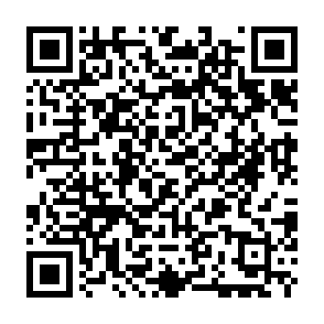NOCT virus Code QR