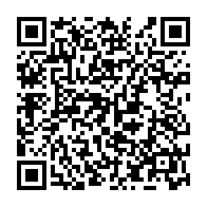 notnullOSX stealer Code QR