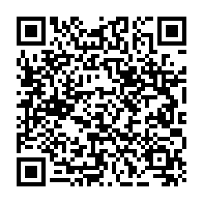 NovaStealer virus Code QR