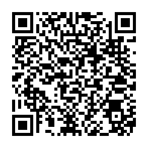 NWHStealer voleur d'informations Code QR