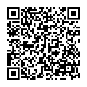 Chargeur de maliciel Olymp Code QR