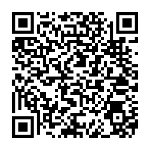 virus PamStealer Code QR