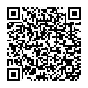 Virus Pdf (2) Code QR