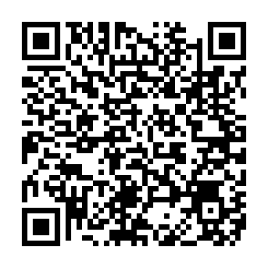 Phenol virus Code QR