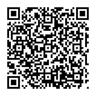 Phoenix Worm dropper Code QR