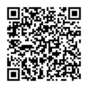 virus Prinz Eugen Code QR