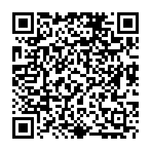 Privaky virus Code QR