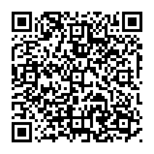 Pirate de navigateur Pure Safety Code QR