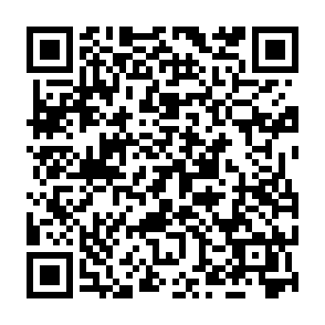 virus qTox Code QR