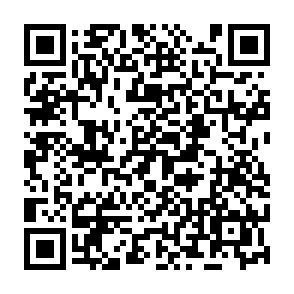 QuirkyLoader virus Code QR