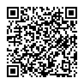 Voleur d'informations Raven Code QR