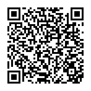 Virus Regulus Code QR