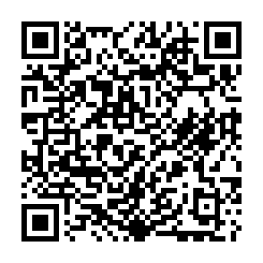 Remus information stealer Code QR