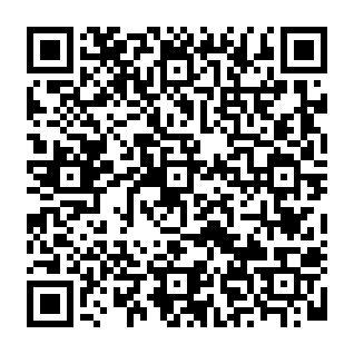 Site de phishing Required System Upgrade Code QR