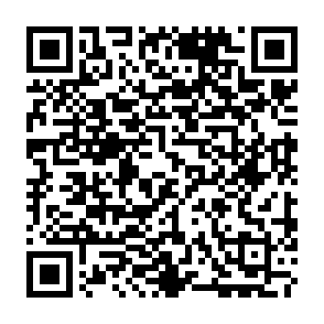 REVSTEALER infostealer Code QR