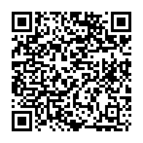 Virus Rex Code QR