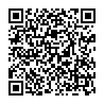 Voleur d'informations RisePro Code QR