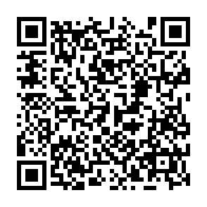 SantaStealer voleur d'informations Code QR