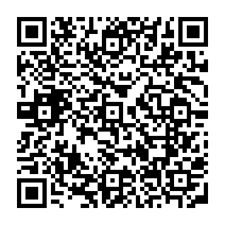Faux SatoshiVM Distribution Program Code QR