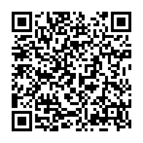 Se7en virus Code QR