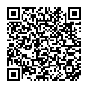 ShadowLock virus Code QR