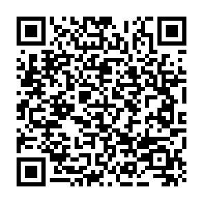 ShareX Airdrop crypto drainer Code QR