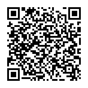 SharkStealer voleur d'informations Code QR