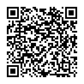 Voleur d'informations SHUYAL Code QR