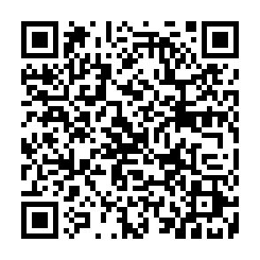 Cheval de Troie d'accès à distance SnakeBiteAgent Code QR