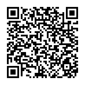 Troyan de administración remota SnappyClient Code QR