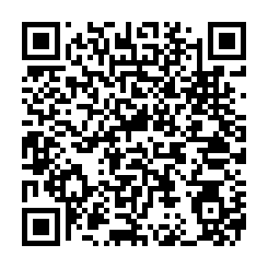 Chargeur malveillant SoupDealer Code QR