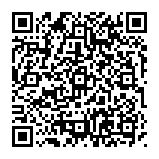 Annonces de steadychainconnection.co.in Code QR