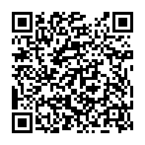 virus SynkLoader Code QR