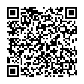 Virus TELEPUZ Code QR