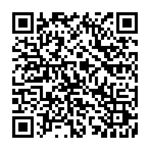 Logiciel de vol d'informations Torg Code QR