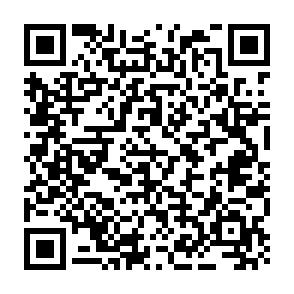 Vanta infostealer Code QR