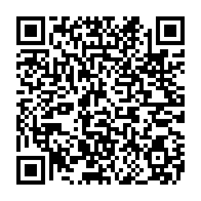 VantaBlack virus Code QR
