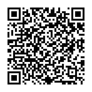 Vect virus Code QR