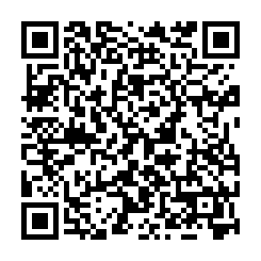 Vile virus Code QR