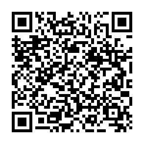 VoidStealer un programme de vol d'informations Code QR