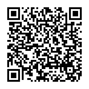 Voleur d'informations VVS Code QR