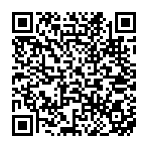 WormLocker virus Code QR