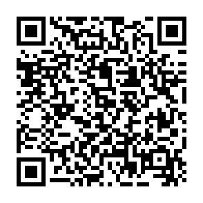 xAI Token Launch site frauduleux Code QR