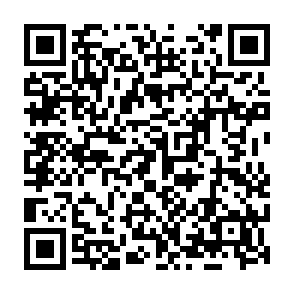 Zarok virus Code QR
