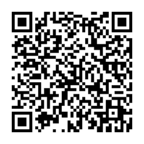 Zollo virus Code QR