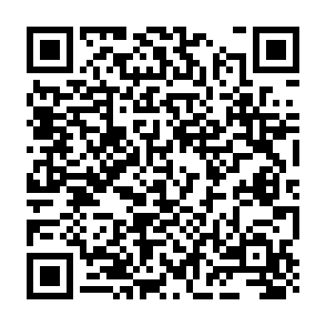 ZuRu porte dérobée Code QR